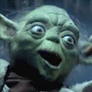 Meet your Posher, Payton